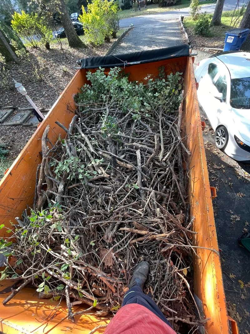 Dumpster Wagon photo 3