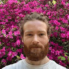 David Martin