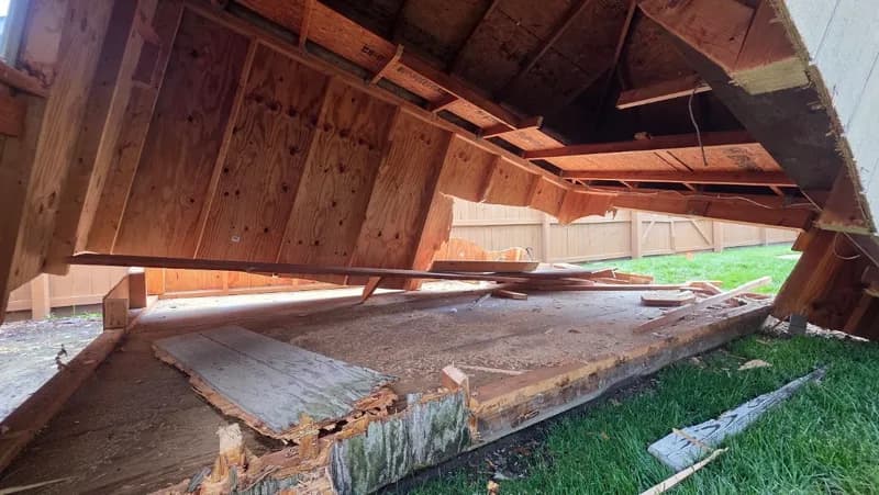 Trash Pandas - Junk Removal, Demolition, & Hauling photo 78