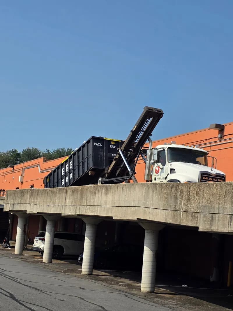 Pack Rat Hauling photo 38