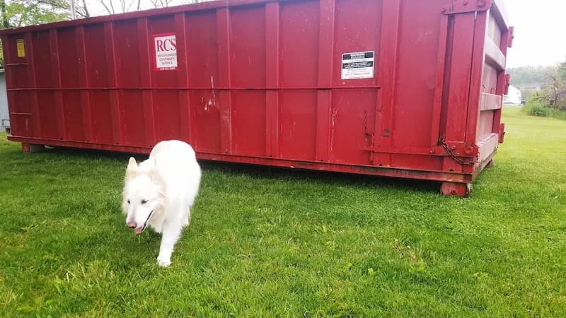 RidgeRunner Container Service photo 11