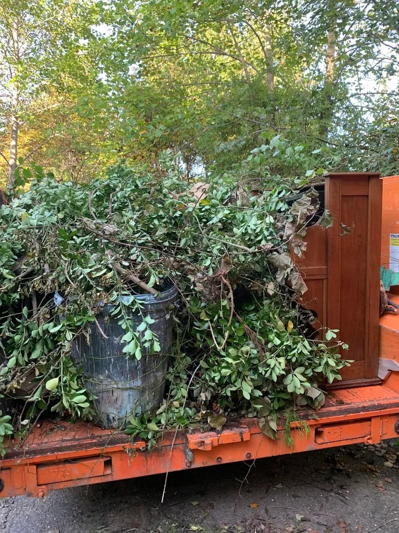 Dumpster Wagon photo 9