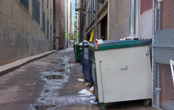 Smart Dumpster Rental Richmond photo 4
