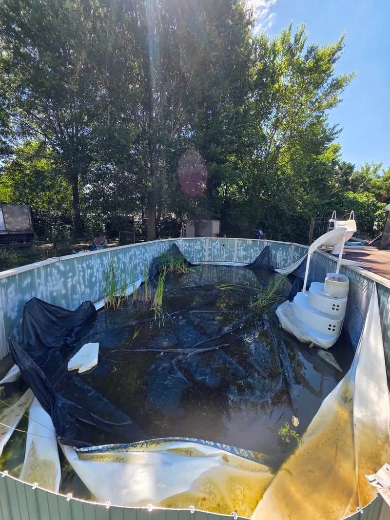 Trash Pandas - Junk Removal, Demolition, & Hauling photo 3