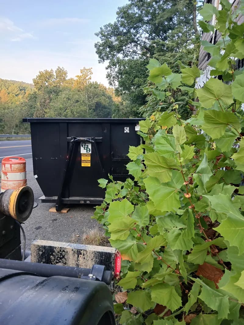 Valley Dumpster Rentals photo 46