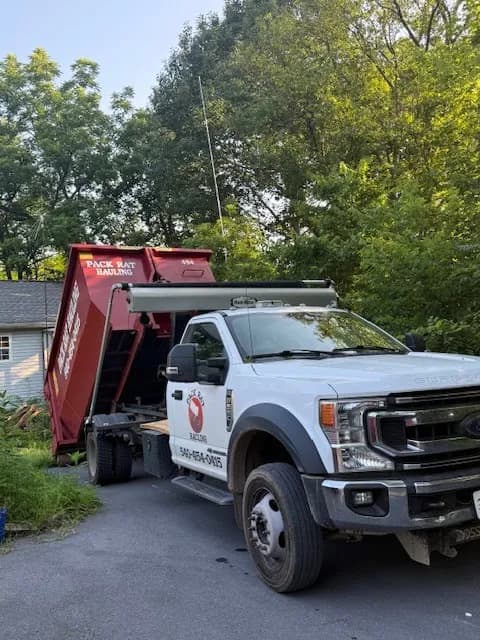 Pack Rat Hauling photo 66