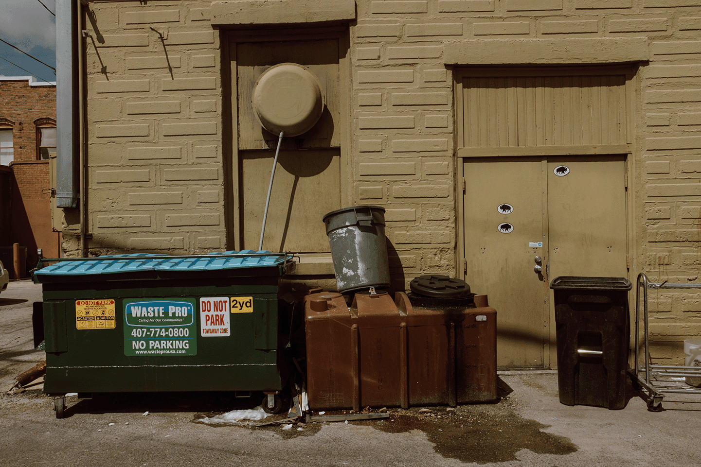 Dumpsters In Alley