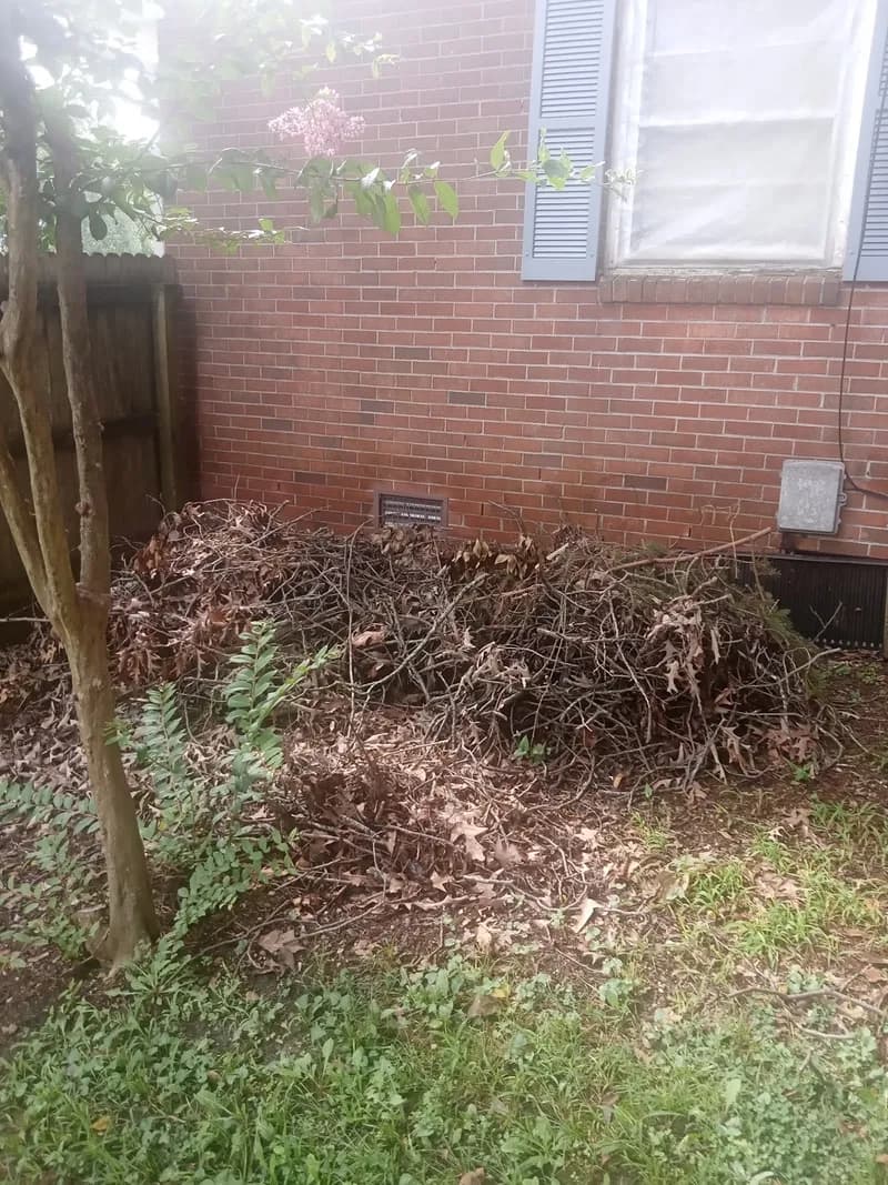 Juggernauts Junk Removal photo 44
