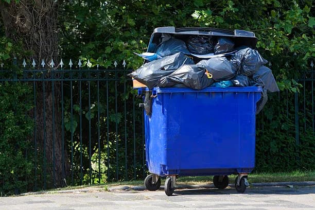Work Dumpster Rental Richmond photo 3