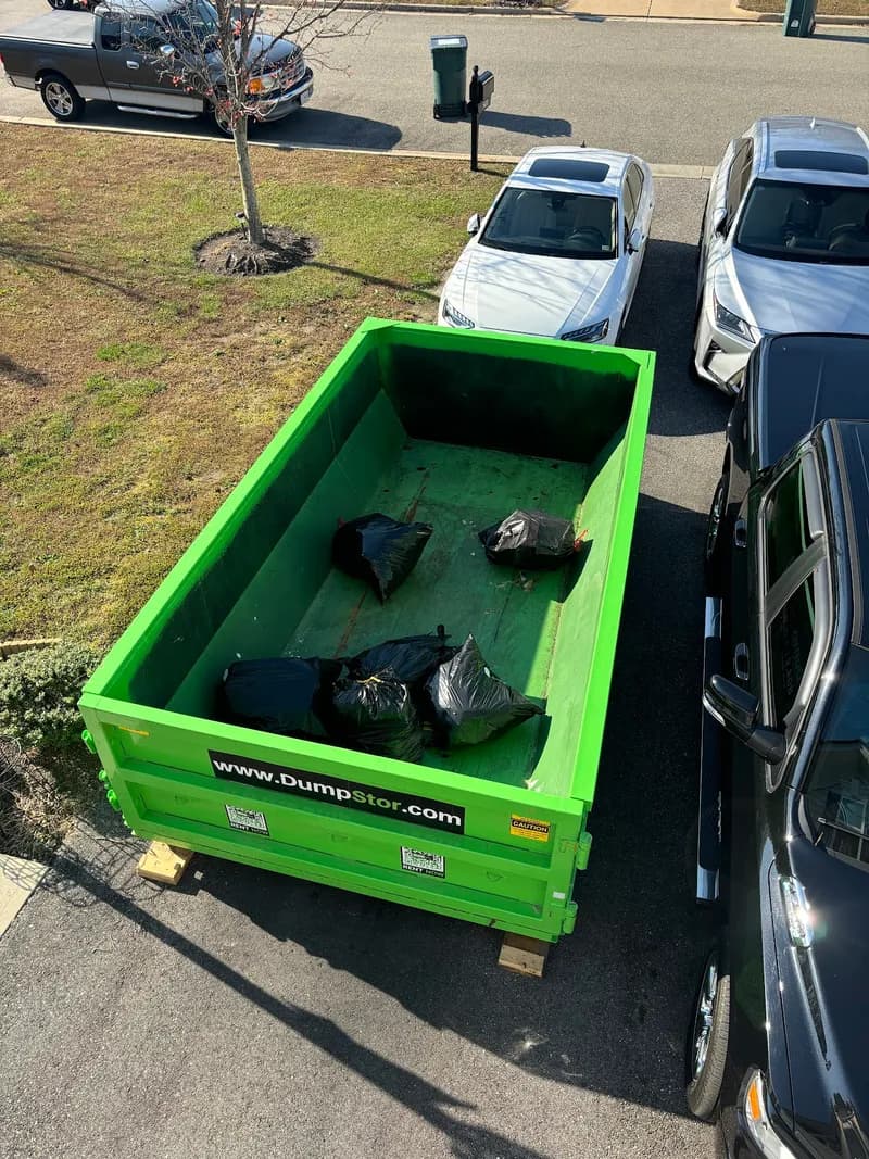 DumpStor of RVA photo 2
